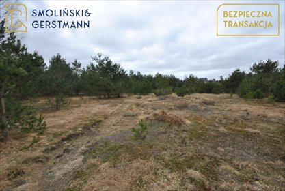 działka na sprzedaż 11500m2 działka Kowalewo, Letnia