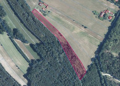 działka na sprzedaż 13902m2 działka Kolonia Góra Puławska
