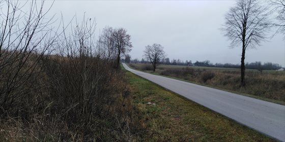 Na sprzedaż działki 3000 m² z mediami i drogą w Siedliszczu działka Siedliszcze, Siedliszcze-Kolonia, Lipowa