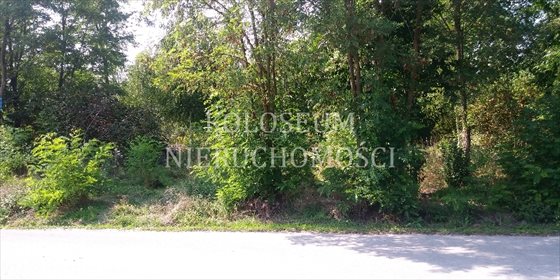 Działka budowlana na sprzedaż Mirosławice 2 000m2 Foto 3