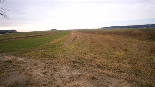 działka na sprzedaż 24000m2 działka Kępa