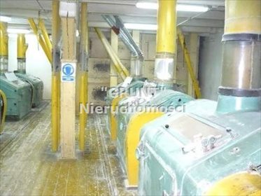 Lokal użytkowy na sprzedaż Białośliwie 2 190m2 Foto 6