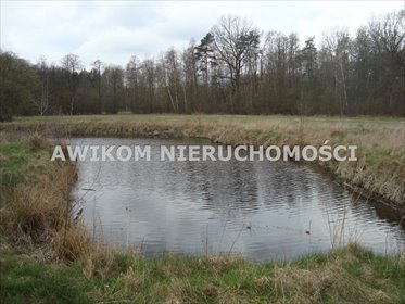 Do sprzedania malownicza działka 13 600 m² z stawami i projektem rezydencji działka Pieńki Zarębskie