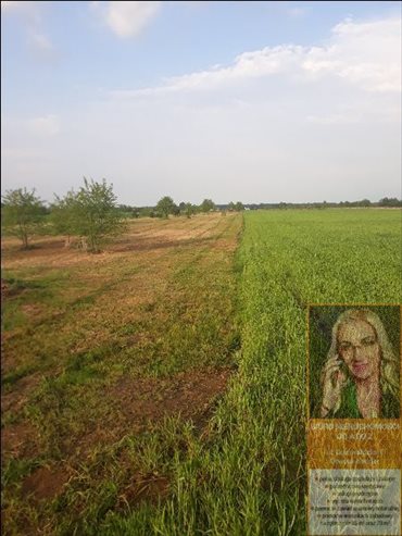 działka na sprzedaż 7800m2 działka Łukówiec