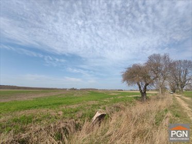 Działka 3014 m² - Spokojna okolica 5 km od morza działka Strzeżewo