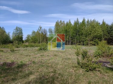 działka na sprzedaż 6000m2 działka Szczawin Kościelny