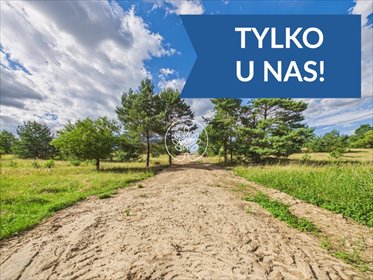 Działka 8 200 m² z warunkami zabudowy i mediami działka Zgoda