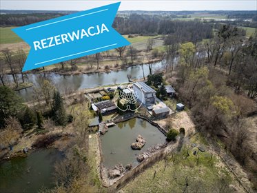 Działka 1924 m² z stawem i lasem w Nowym Dąbiu działka Nowe Dąbie