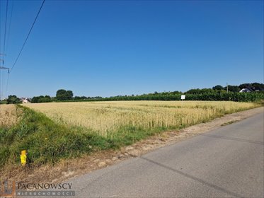 Działka budowlano-rolna w Bibicach, 28,35 ara, linia zabudowy działka Bibice