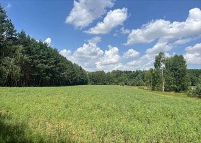 Działka rekreacyjna na sprzedaż Dworszowice Kościelne 780m2 Foto 2