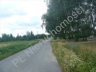 działka na sprzedaż 19000m2 działka Wola Krakowiańska