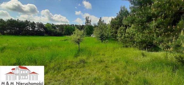 Działka budowlana na sprzedaż Biały Bór 1 300m2 Foto 1