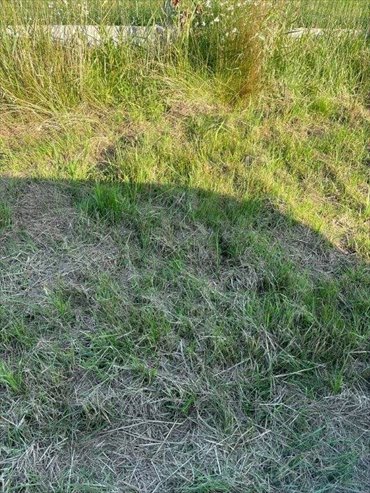 działka na sprzedaż 3000m2 działka Gąski, Gąski