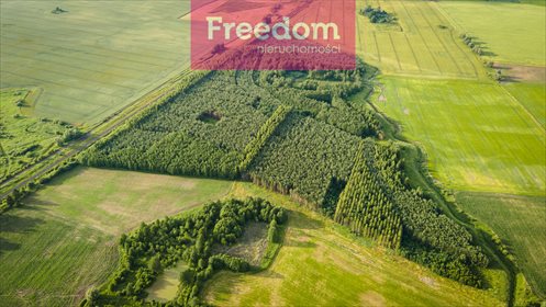 Działka leśna na sprzedaż Parys 205 000m2 Foto 3