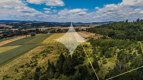 działka na sprzedaż 17800m2 działka Bierkowice