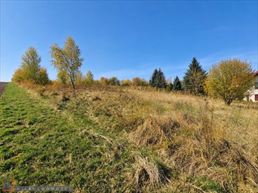 Zapraszam do obejrzenia działki 44 arów w Owczarach działka Owczary