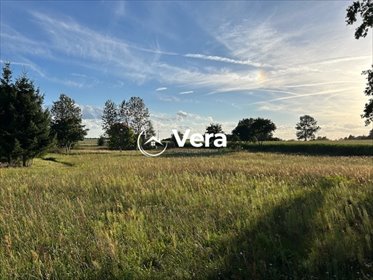 działka na sprzedaż 5879m2 działka Siemianowo