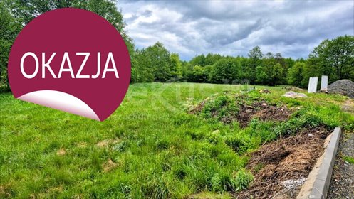 Działka inwestycyjna 4500 m² pod pensjonat w Sosnówce działka Sosnówka