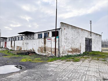 działka na wynajem 5000m2 działka Kąty Wrocławskie, Spółdzielcza