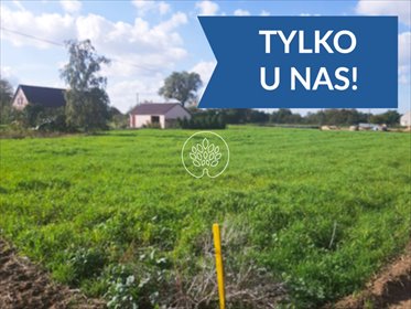 Działka pod dom w malowniczej okolicy Kozielca 3912 m² działka Kozielec