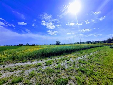 działka na sprzedaż 3600m2 działka Chlebnia