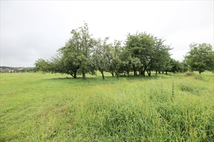 działka na sprzedaż 200m2 działka Kielanówka