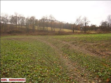 działka na sprzedaż 21057m2 działka Pieniężno