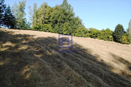 Działka budowlana na sprzedaż Miłoszów, Miłoszów 6 500m2 Foto 6