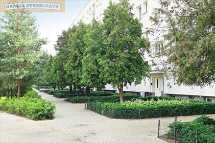 mieszkanie na sprzedaż 38m2 mieszkanie Warszawa, Praga-Północ, WIOSENNA