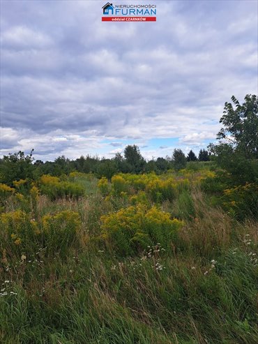 działka na sprzedaż 3044m2 działka Ługi Ujskie