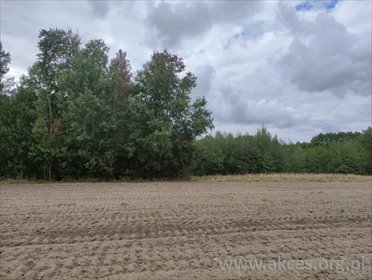 działka na sprzedaż 1542m2 działka Świerkowo