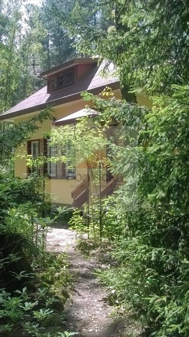 działka na sprzedaż 13770m2 działka Lasek