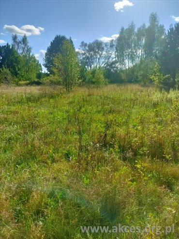 działka na sprzedaż 5394m2 działka Secyminek, Bez Nazwy