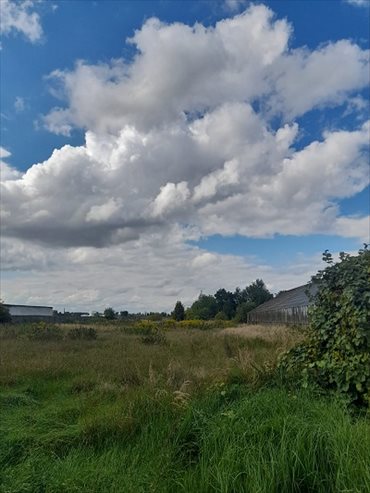 Działka inwestycyjna na sprzedaż Kalisz, Szczypiorno, Wrocławska 35 360m2 Foto 1