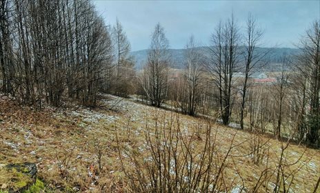 działka na sprzedaż 1349m2 działka Piechowice