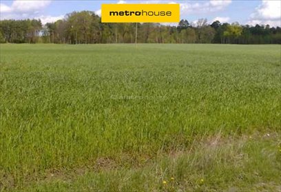 działka na sprzedaż 1180m2 działka Rybno Wielkie