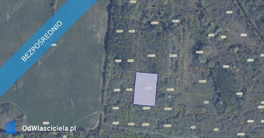 działka na sprzedaż 3020m2 działka Pręgowo