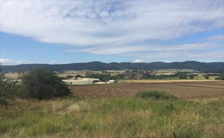 działka na sprzedaż 1500m2 działka Stoszowice, Mikołajów