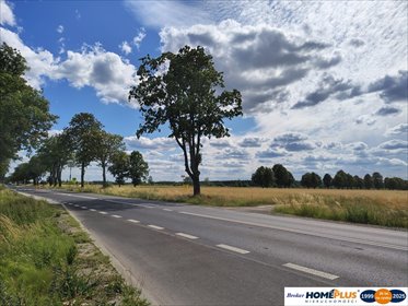 działka na sprzedaż 5000m2 działka Gzowo