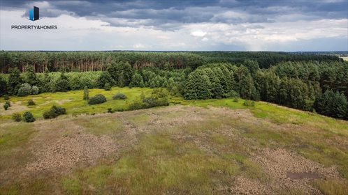 Działka rolna na sprzedaż Miłocice Małe 70 700m2 Foto 4