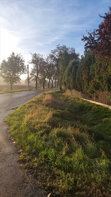 działka na sprzedaż 1047m2 działka Mikołów, Paniowy, Mokierska