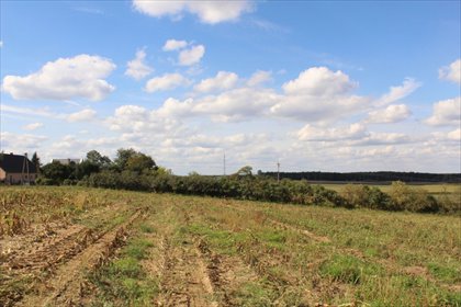 działka na sprzedaż 1000m2 działka Sława