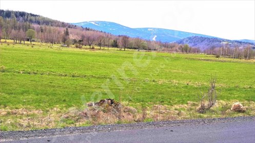 działka na sprzedaż 3000m2 działka Świeradów-Zdrój