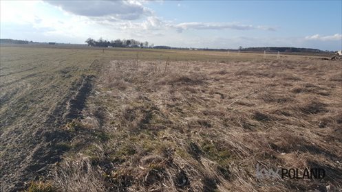 Działka budowlana na sprzedaż Czerlejno, Kleszczewska 818m2 Foto 2