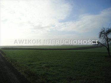 Działka 4400 m² z widokami, media, ekologiczne otoczenie działka Nowy Kawęczyn