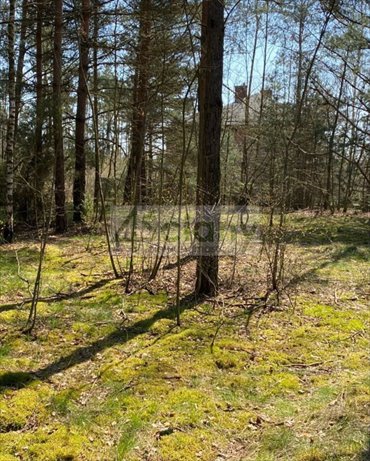 Do sprzedania działka 3440 m² pod zabudowę w Józefowie działka Józefów