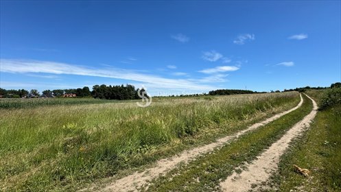 Zapraszam do zakupu działek rolnych 1200 m² w Stobnie działka Stobno