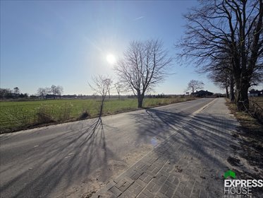 działka na sprzedaż 4870m2 działka Witaniów