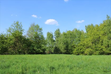 działka na sprzedaż 5000m2 działka Kamionna
