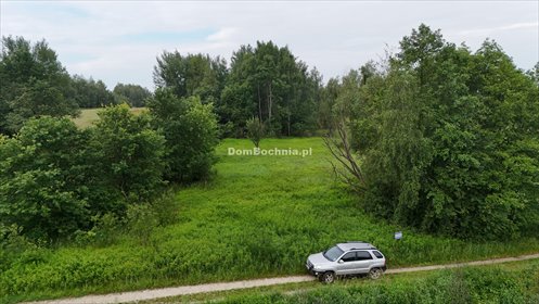 Działka rolna 5141 m² z możliwością dokupienia obok działka Borek